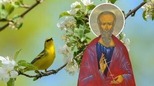 21 квітня — день Родіона. Головні традиції та заборони, яких слід дотримуватися усім християнам в цей день