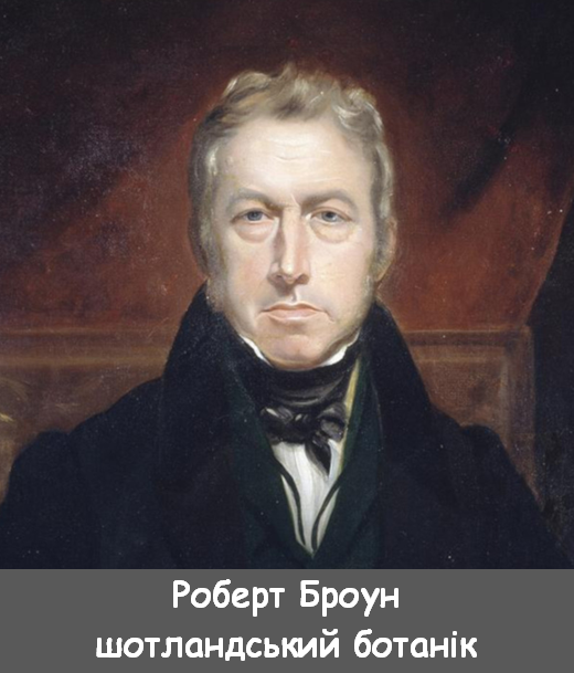 0402nx0j-86d5-520x609.png