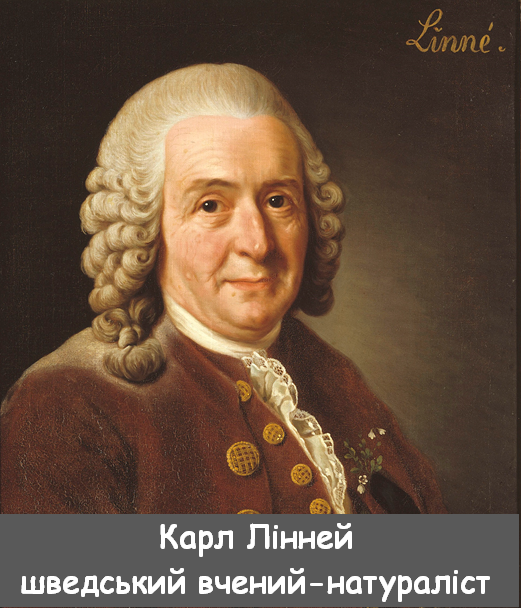 0402nx3s-bf06-521x608.png