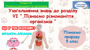 Презентація "Узагальнення знань до розділу VІ «Пізнаємо різноманіття організмів» ", 5 клас НУШ за ред. Біди Д.Д. та ін.