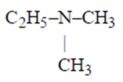 0402nyfl-c411-123x82.png