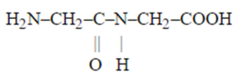 0402nygx-cfe8-236x79.png