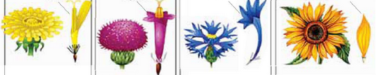 0402nzhy-7bb9-544x109.png
