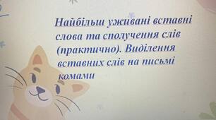 Презентація до уроку "Найбільш уживані вставні слова та сполучення слів (практично). Виділення вставних слів на письмі комами"