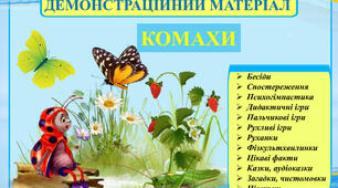 Демонстраційний матеріал + опис, розповідь та ін. "Комахи"