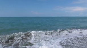 Конспект з образотворчого мистецтва "Морські фантазії"