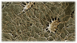 0402obt3-d6c1-252x141.png