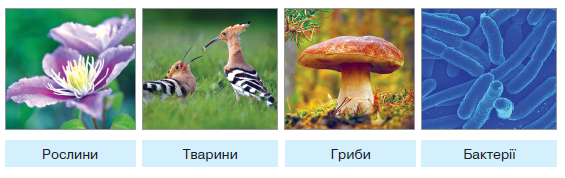 0402oc2u-ae9f-565x178.png