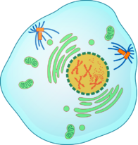 0402occy-8c26-196x206.png