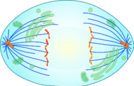0402ocdm-4919-195x126.png