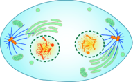 0402ocdy-be33-192x119.png