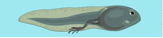 0402ocps-0bc8-235x56.jpg
