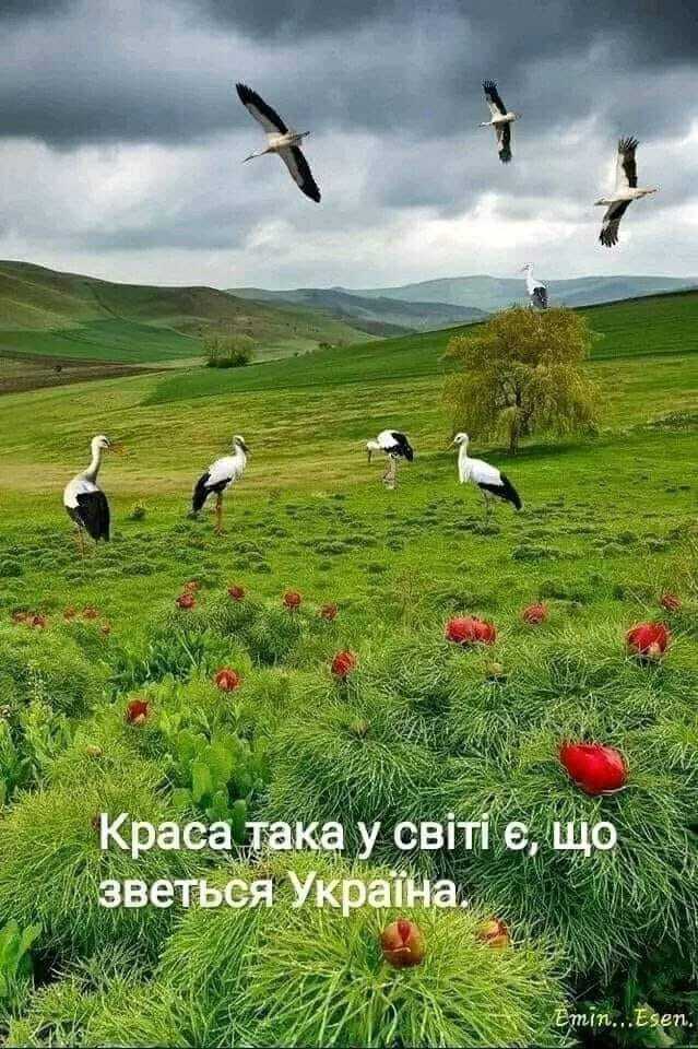 Нет описания фото.
