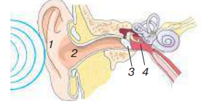 0402okk8-4b87-300x163.png