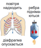 0402on6m-7de0-141x164.png