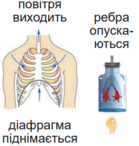 0402on6q-b5ca-139x146.png