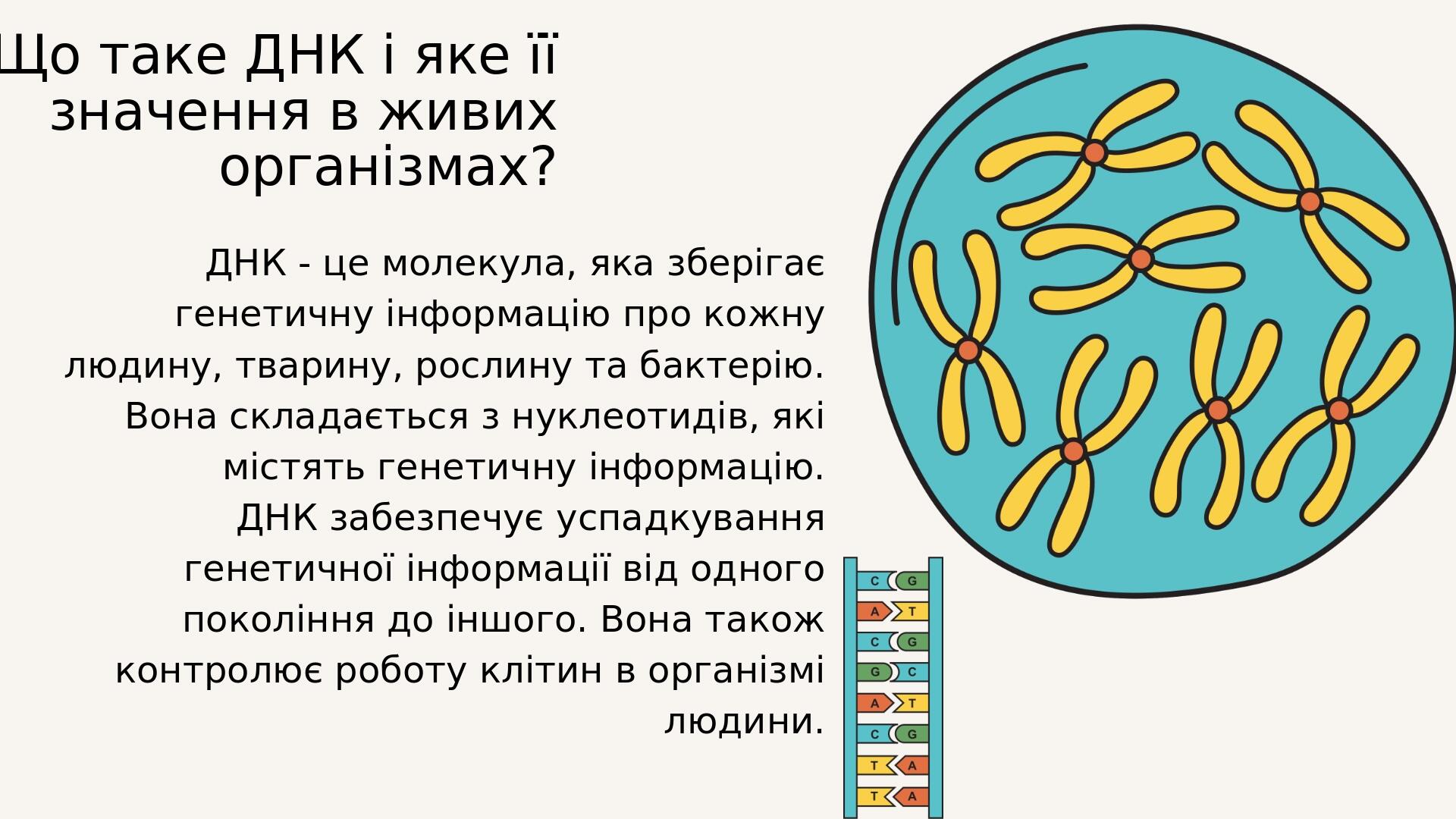 Міжнародний День ДНК 25 квітня | Презентація. Біологія