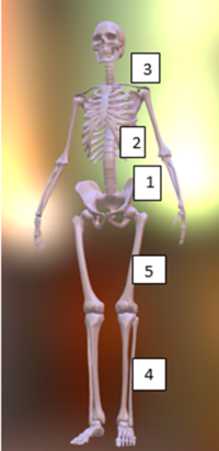 0402op2s-ee82-200x411.png