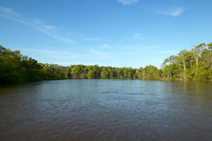 Altamaha River Stock Photos - Free & Royalty-Free Stock Photos from Dreamstime
