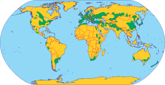0402osiv-a859-535x278.png