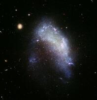 0402osqd-5262-197x204.jpg
