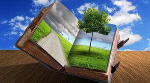 The definite article