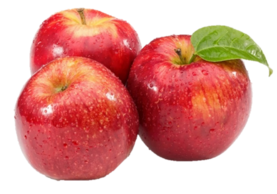 0402oxui-7931-277x194.png