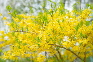 0402p0h7-2ca4-300x200.jpg