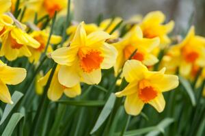 0402p0jn-3478-300x199.jpg