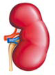 0402p0ln-c359-120x165.png