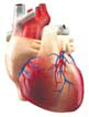 0402p0mg-0f43-118x154.png