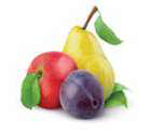 0402p0tb-1094-137x122.png