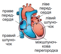 0402p113-b7b9-214x191.png
