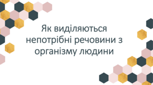 Як виділяються непотрібні речовини з організму людини
