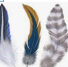 0402p5ul-b30d-99x97.png