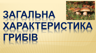 Презентація "Загальна характеристика грибів"