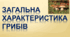 Презентація "Загальна характеристика грибів"
