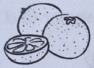 0402p9y6-eb1c-94x68.png