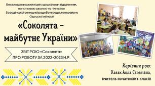 Звіт про роботу рою "Соколята" молодша вікова група 2022-2023 н.р. (презентація + текстовий опис+ емблема)