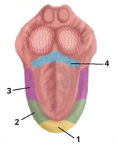 0402pdfa-a469-165x205.png