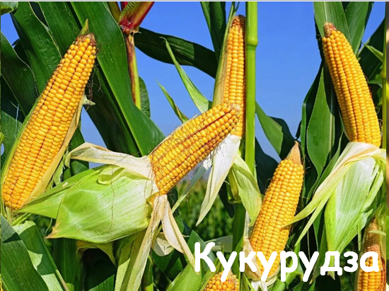 0402pf3k-d622-550x411.png