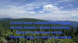 Тема: Стилістичне забарвлення граматичних понять і форм іменника. Власні і загальні назви. Поняття роду та числа іменників.