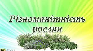 Узагальнення. Різноманітність рослин