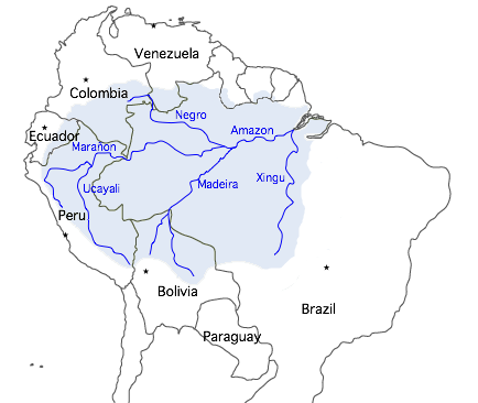 0402plgi-47da-434x366.png