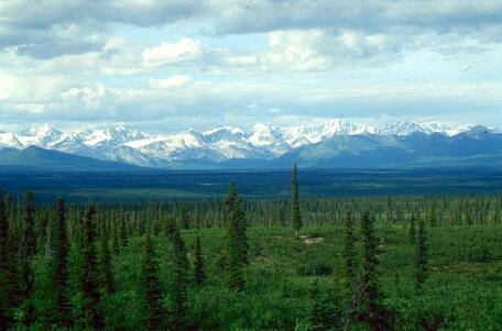 0402pm2h-bf42-456x301.jpg