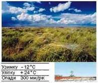 0402pw66-5b08-195x166.jpg