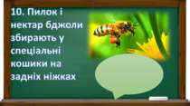 0402pxt9-baa1-210x117.png