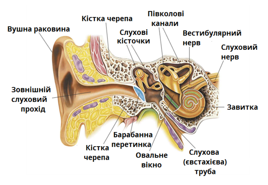 0402pytq-e053-867x600.png