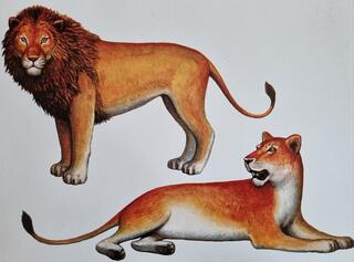 0402pywd-9d31-320x237.jpg