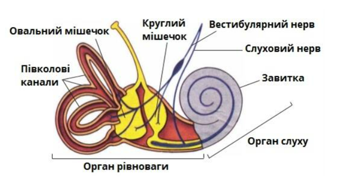 0402pyz9-c524-673x368.png